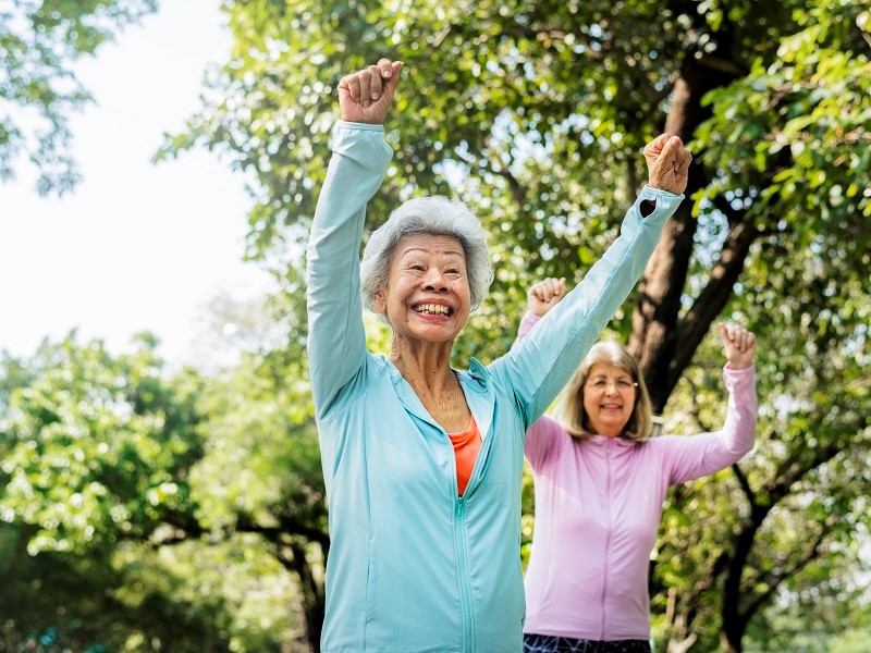 Fun exercises for online elderly